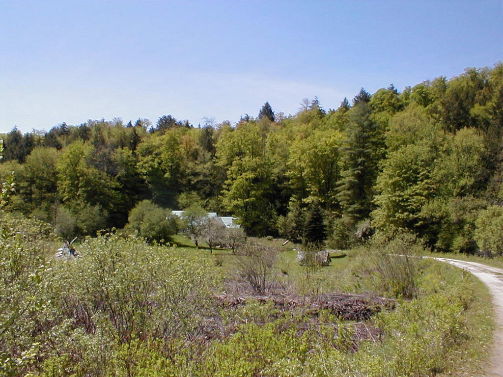 Mountain Valley Retreat Killington Esterno foto
